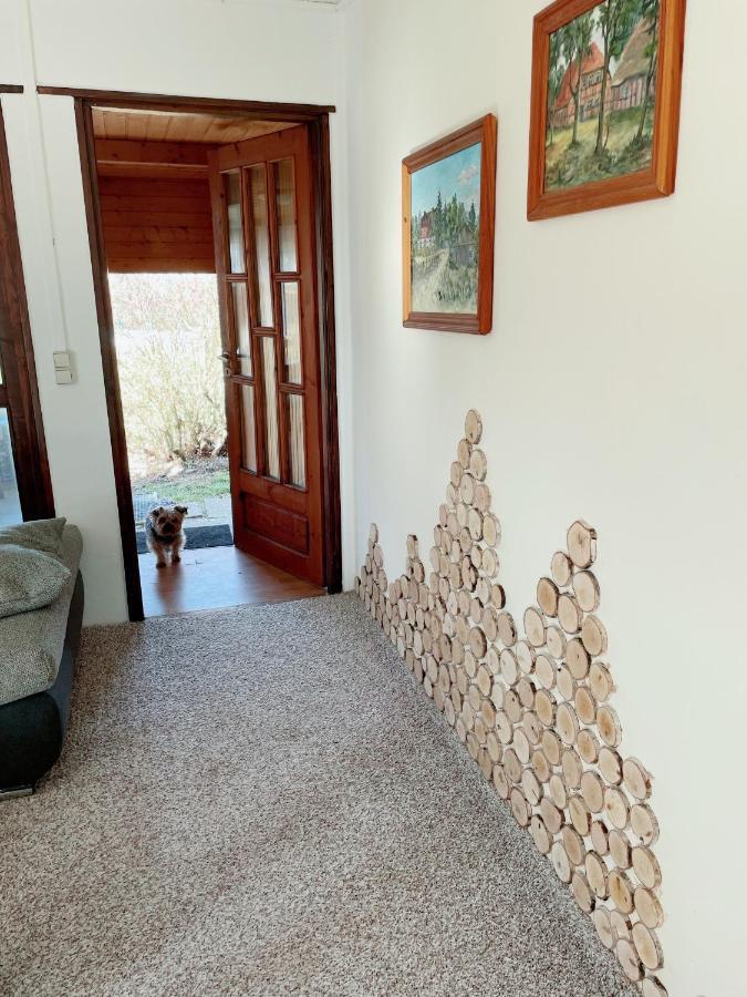 Hohenbollentin Landhaus Mit Pool, Bungalow In Der Natur מראה חיצוני תמונה